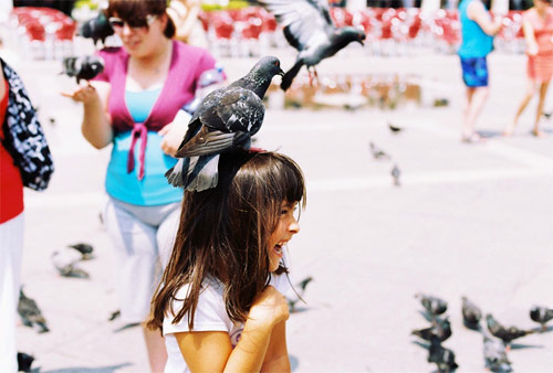 Photographer Aimee Han