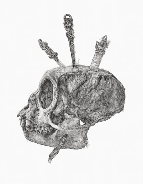 Drawings by artist Amanda Nedham