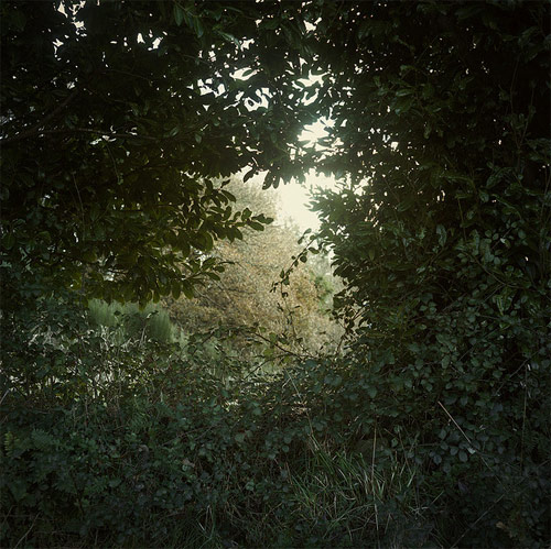 Photographer Ana Cuba