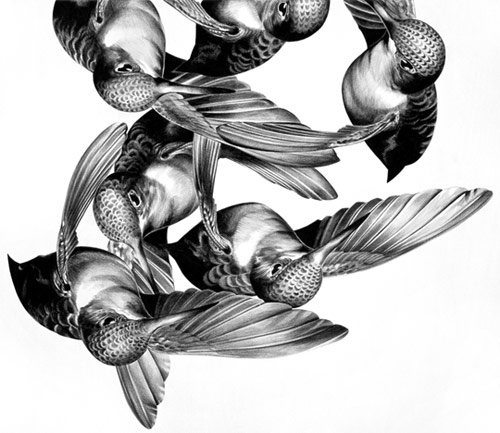 Drawings by artist Christina Empedocles