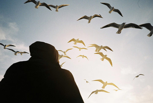 Photographer David Montes photography