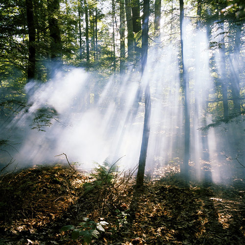 Photographer Jamie Campbell