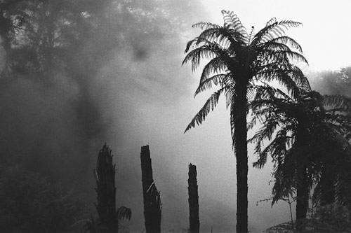 Photographer Joe Nigel Coleman