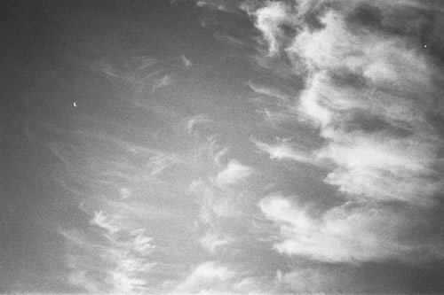 Photographer Joe Nigel Coleman