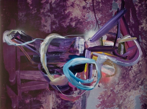 Paintings on photographs by Joshua Dildine