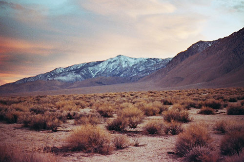 Photographer Kate Rentz photography