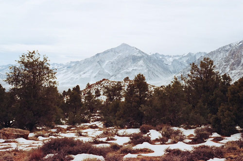 Photographer Kate Rentz photography