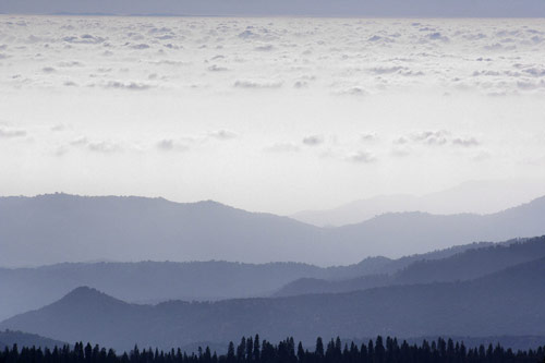 Photographer Kate Rentz photography