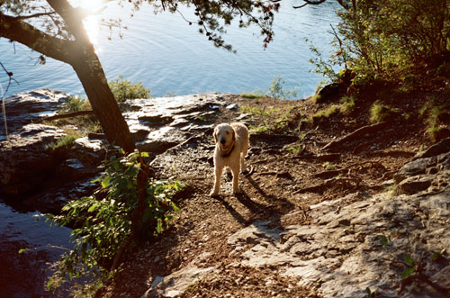 Photographer Kevin Lindridge photography