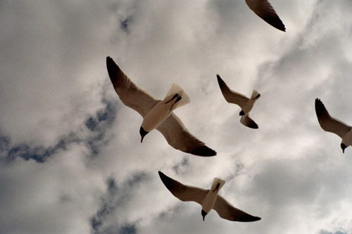 Photographer Kevin Lindridge photography