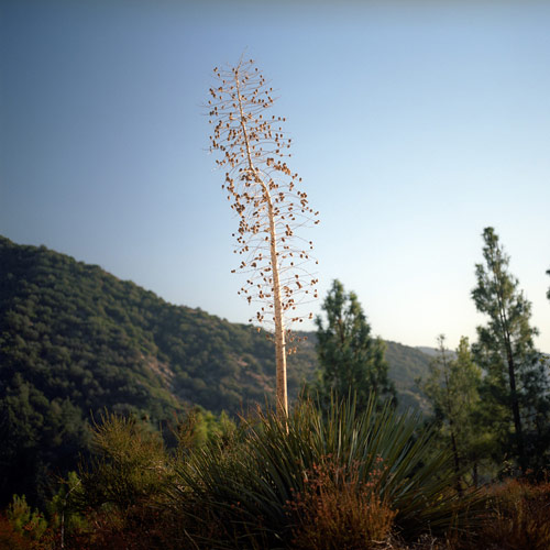 Photographer Justin Ouellette