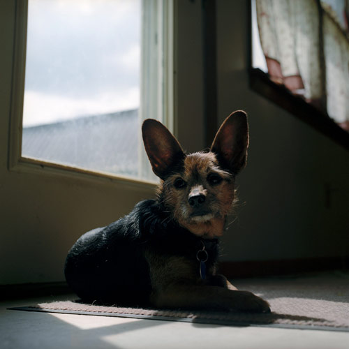 Photographer Justin Ouellette