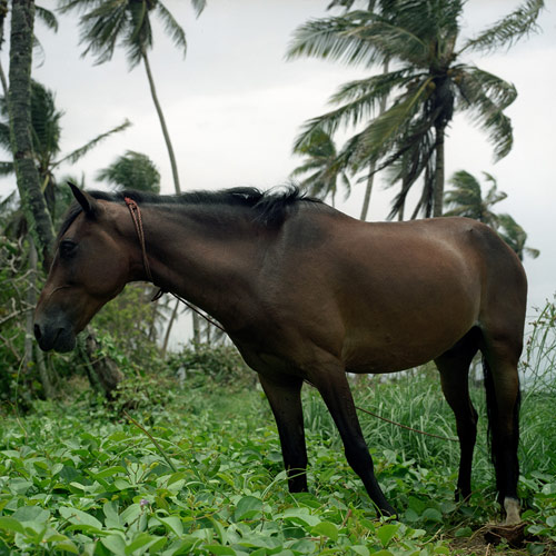 Photographer Justin Ouellette