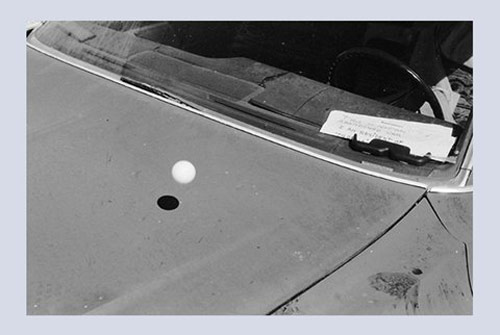 Photographer Robin Maddock