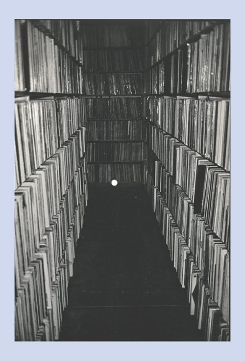 Photographer Robin Maddock