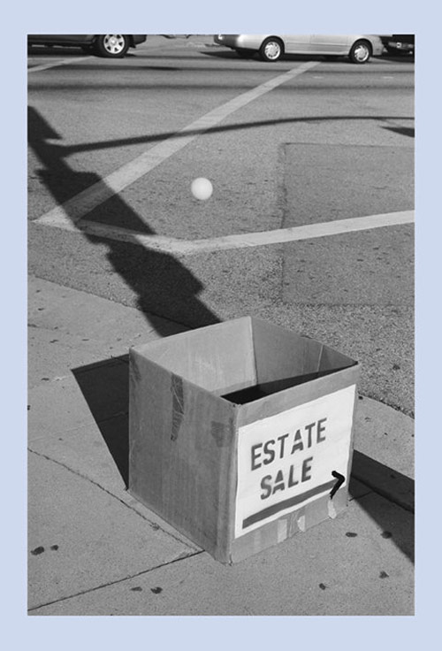 Photographer Robin Maddock