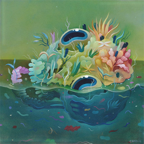 Artist painter Charlie Immer