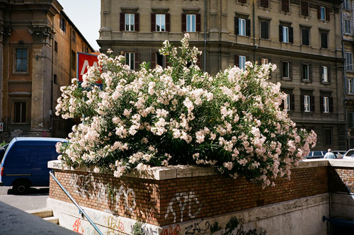 Photographer Jeremy Drape photography