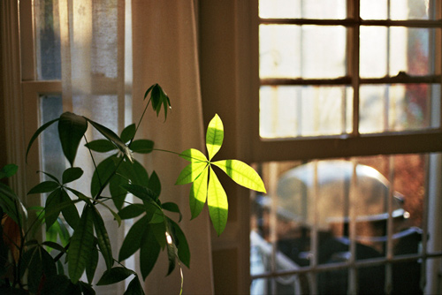 Photographer Leila Peterson