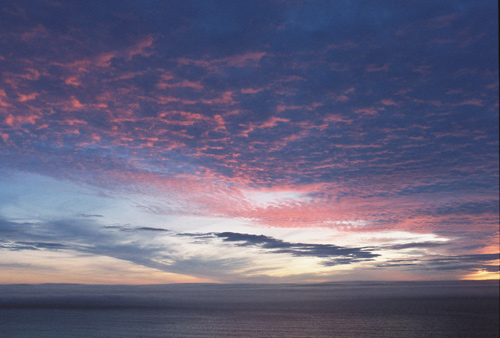 Photographer Leila Peterson