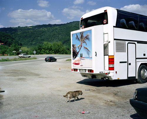 Photographer Nina Poppe