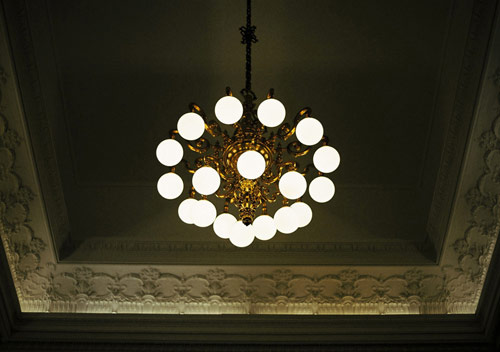 Photographer Rosanna Webster