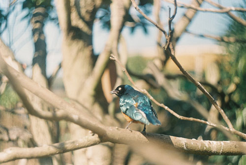 Photographer Rosanna Webster