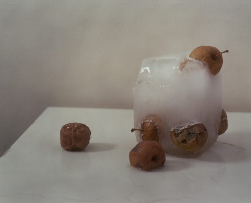 Photographer Sara Naim