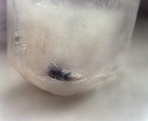 Photographer Sara Naim