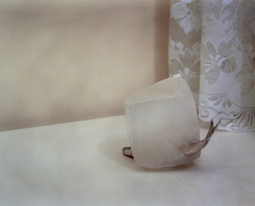 Photographer Sara Naim