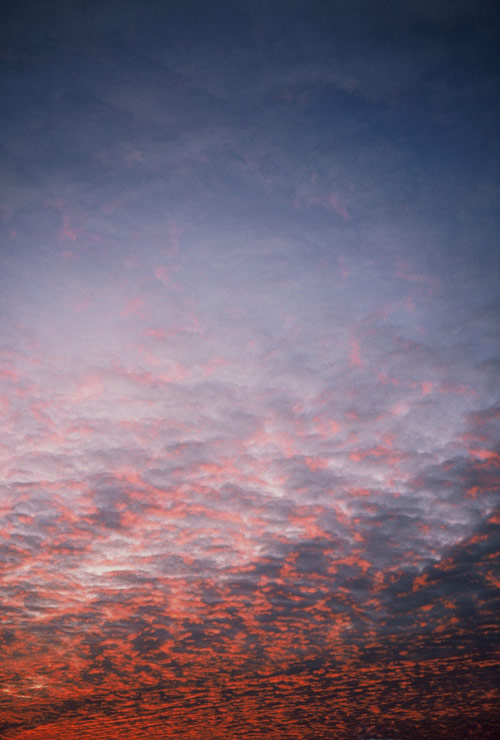 Photographer Sasha Kurmaz