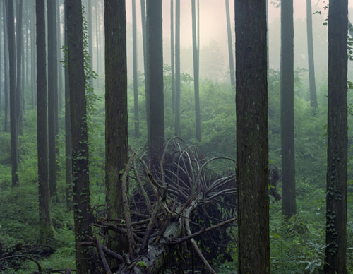 Photographer Yosuke Bendai