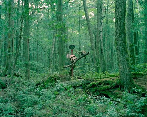 Photographer Yosuke Bendai