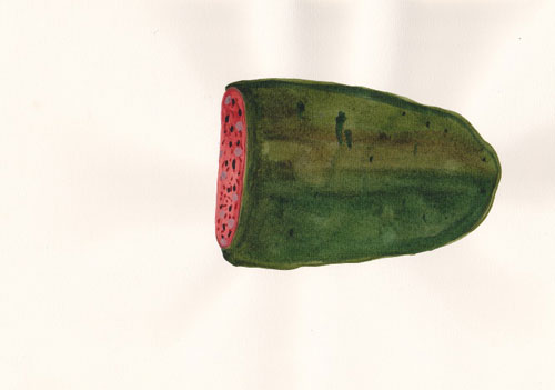 Drawings by artist Molly Rose Dyson