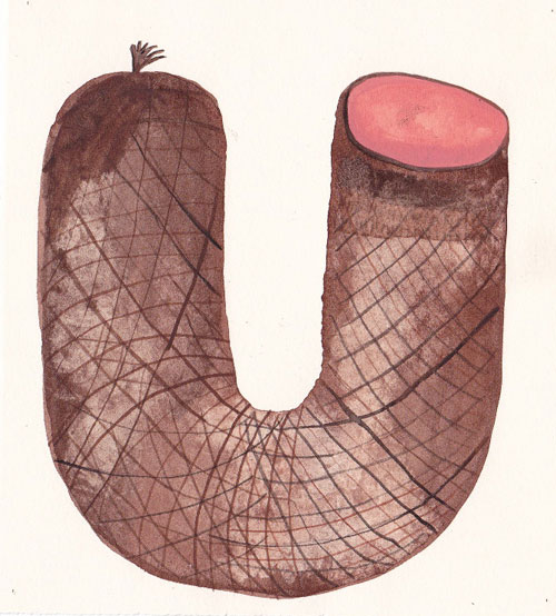 Drawings by artist Molly Rose Dyson