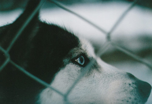 Photographer Nastya Jour photography