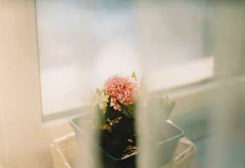 Photographer Nastya Jour photography