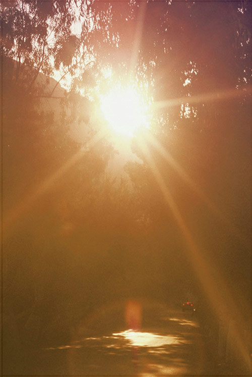 Photographer Sylvain-Emmanuel Prieur