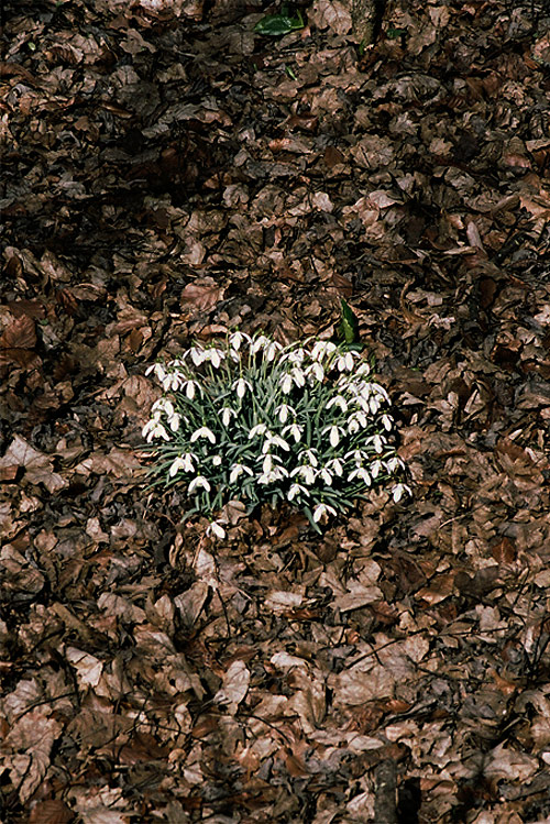 Photographer Sylvain-Emmanuel Prieur