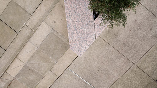 Photographer Amelia Hooning