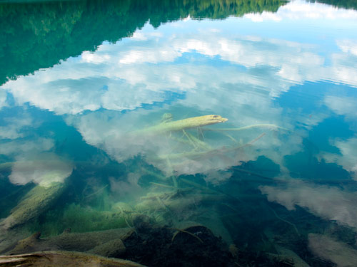 Photographer Beth Hoeckel