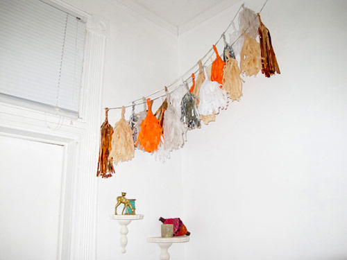 Photographer Beth Hoeckel