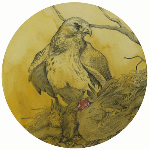 Illustrator Conor Nolan