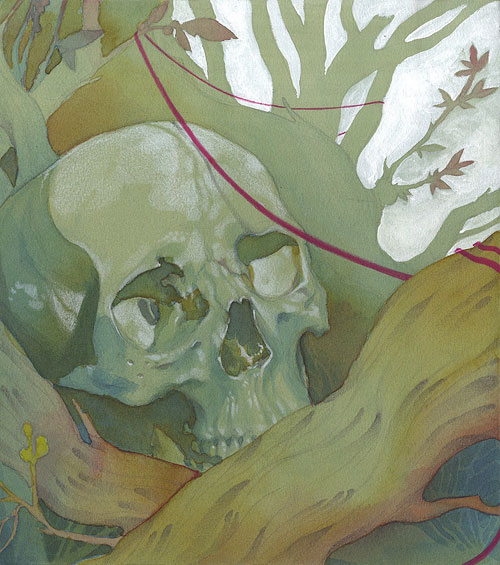 Illustrator Conor Nolan