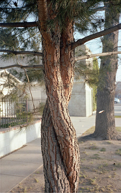 Photographer Jamey Hoag