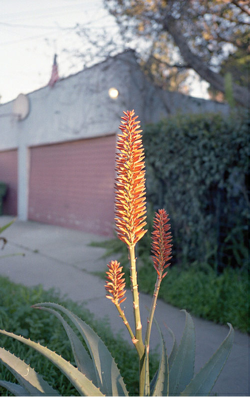 Photographer Jamey Hoag