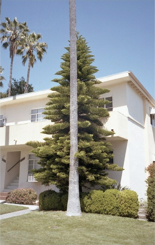 Photographer Jamey Hoag