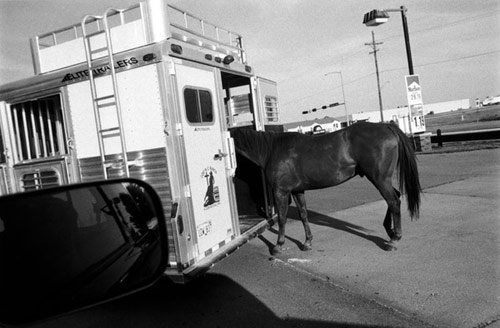 Photographer John Sypal photography