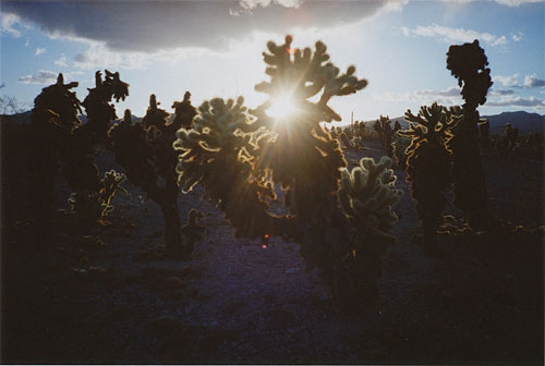 Photographer Missy Prince