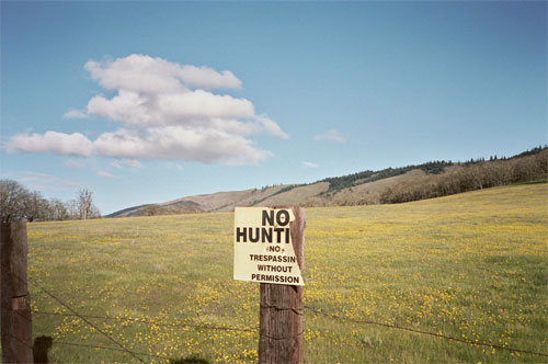 Photographer Missy Prince